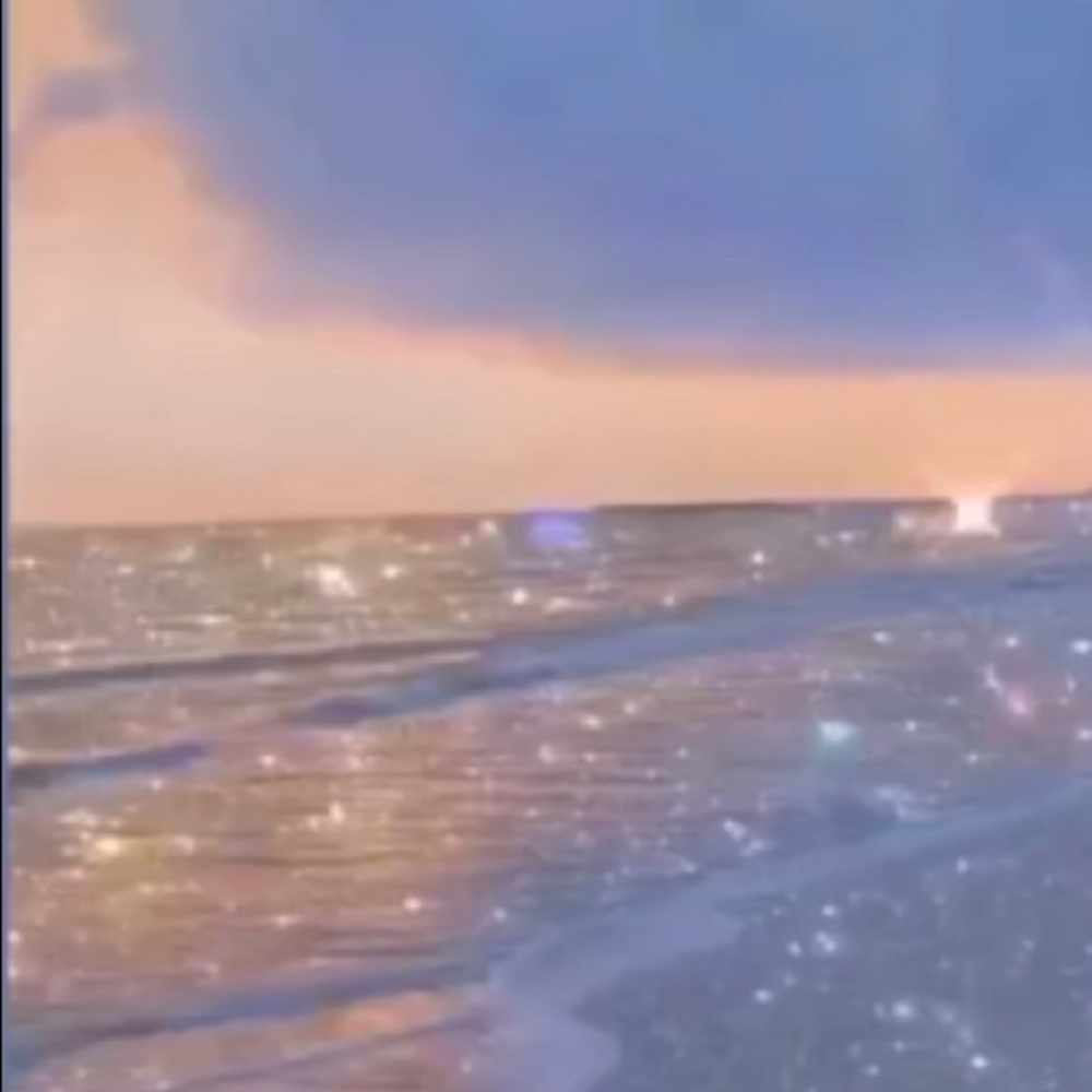 Meet your Posher, Moni